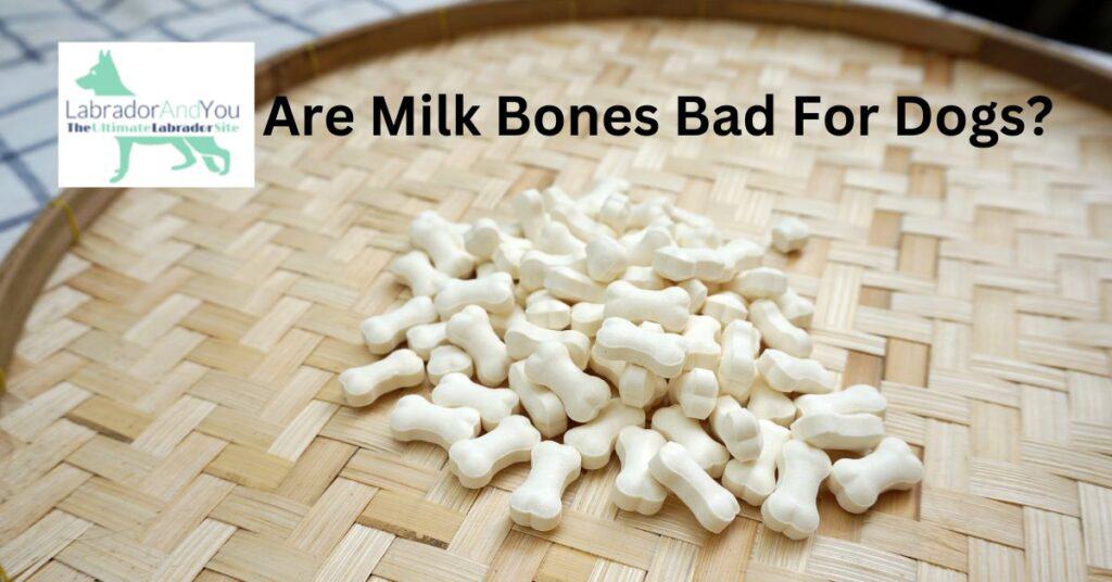 Are Milk Bones Bad For Dogs