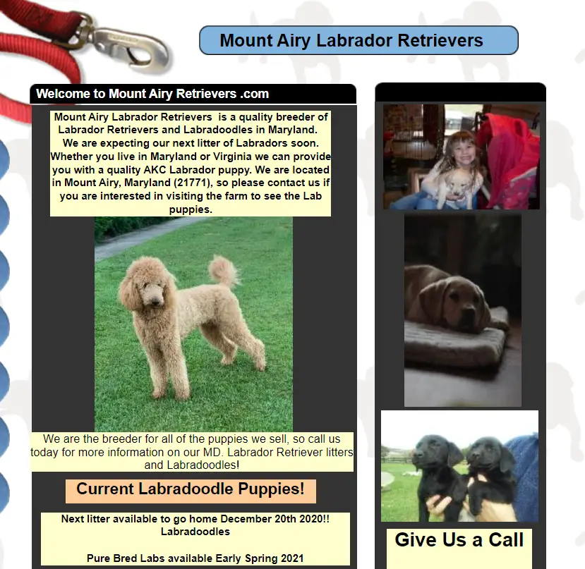 labrador breeders oregon