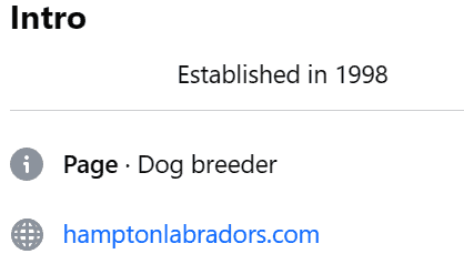labrador breeders new york