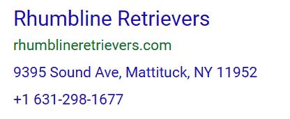 labrador retriever breeders ny state