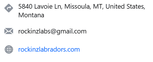 montana labrador breeders
