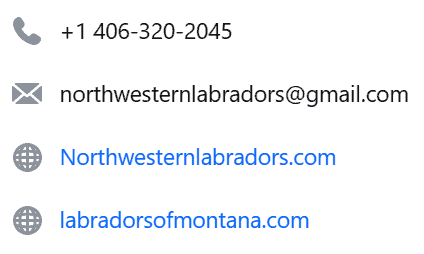 montana labrador breeders
