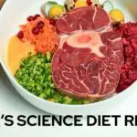 HILL’S SCIENCE DIET REVIEW