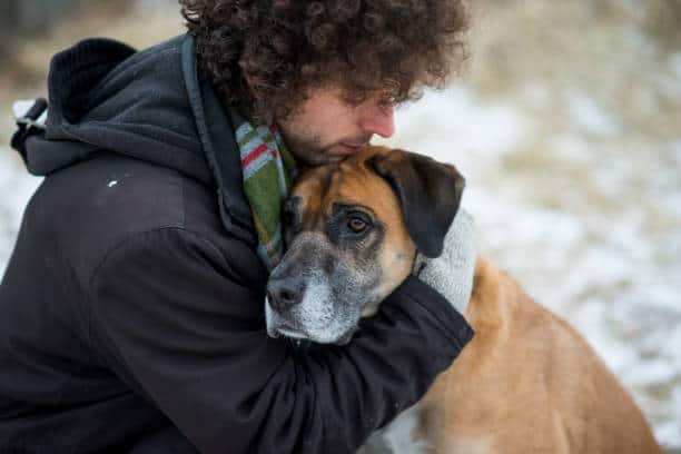 Adopt an Emotional Support Dog