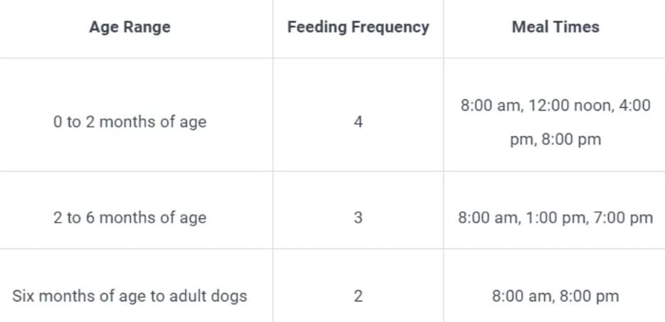 how much to feed a labrador puppy